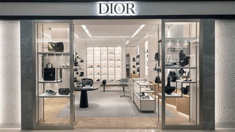 dior fast fashion